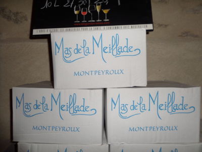 mas de la meillade montpeyroux (5)