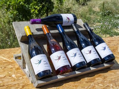 masdescolibris-vins-02