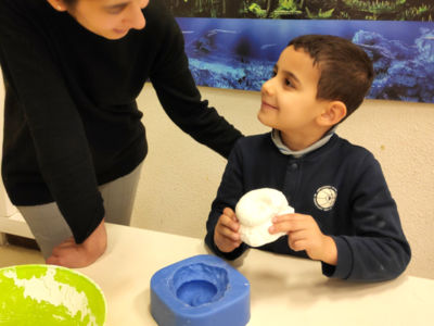 ATELIER FAMILIAL "MOULAGE DE FOSSILES" Le 31 déc 2024