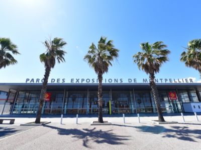 palmiers-parc-des-expo
