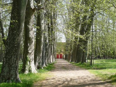 parc_du_chateau_des_eveques