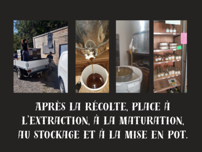 photo more chevalier 5