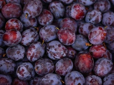 MARCHÉ TRADITIONNEL DE BOUZIGUES Du 1 janv au 31 déc 2024