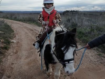 poney longe accompagné