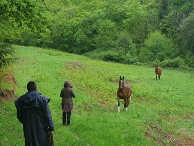relais equestre