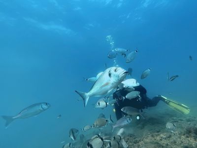 rencontre sous marine