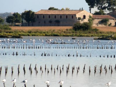 salines-maguelone