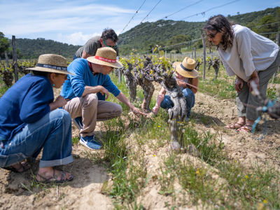 sete-wine-tour-71338