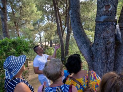 VISITES GUIDÉES DU JARDIN ANTIQUE MÉDITERRANÉEN