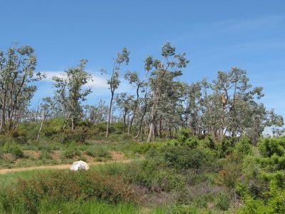 Circuit des Eucalyptus.3jpg