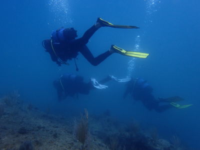 Abyss plongée au Cap d'Agde - site de plongée 