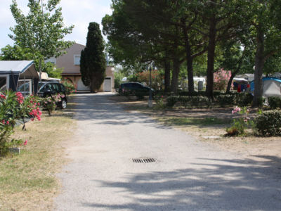 Camping Les Romarins-Emplacements