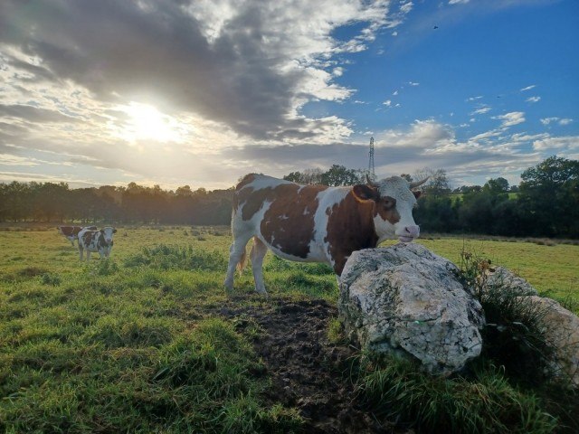 La ferme de Kermoel