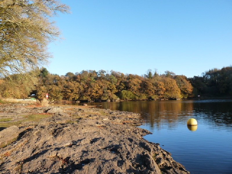 Ouvrir la diaporama Etang-de-Glomel-giteboisdamour-Perrot