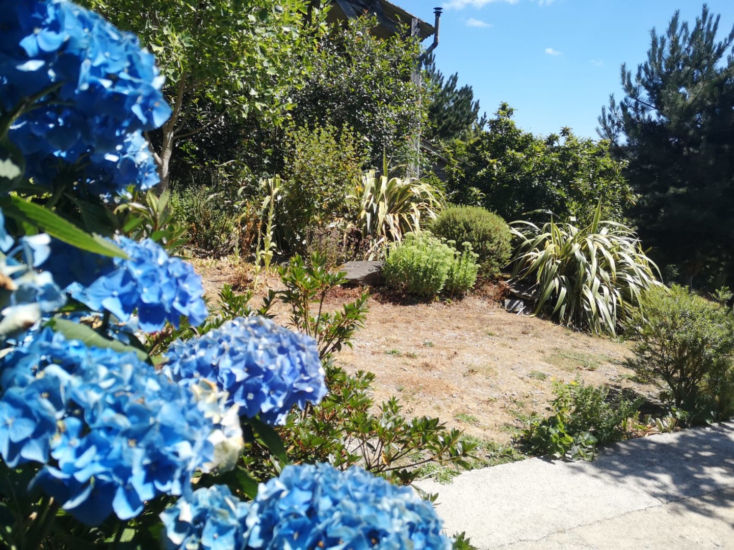 Ouvrir la diaporama IMG-20230529-WA0002