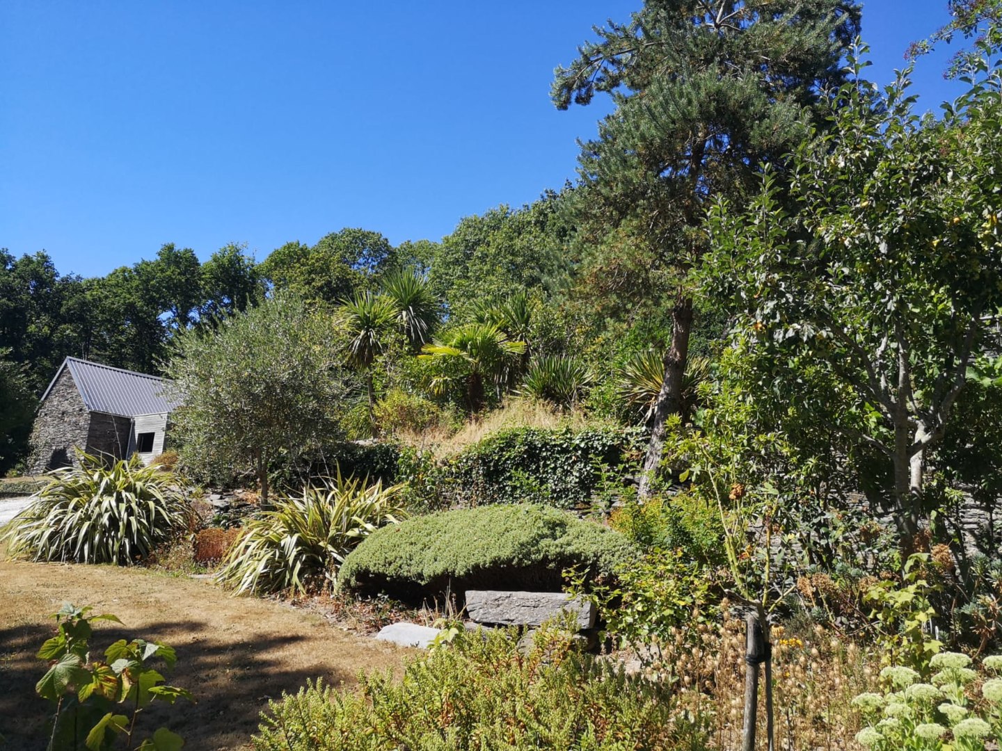 Ouvrir la diaporama IMG-20230529-WA0007