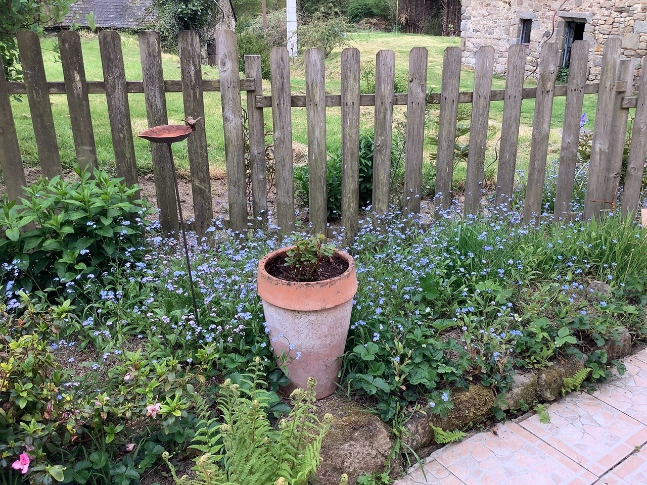 Jardin