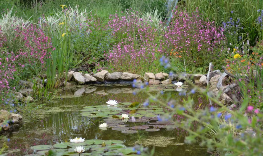 Jardin_Grand_Cottage