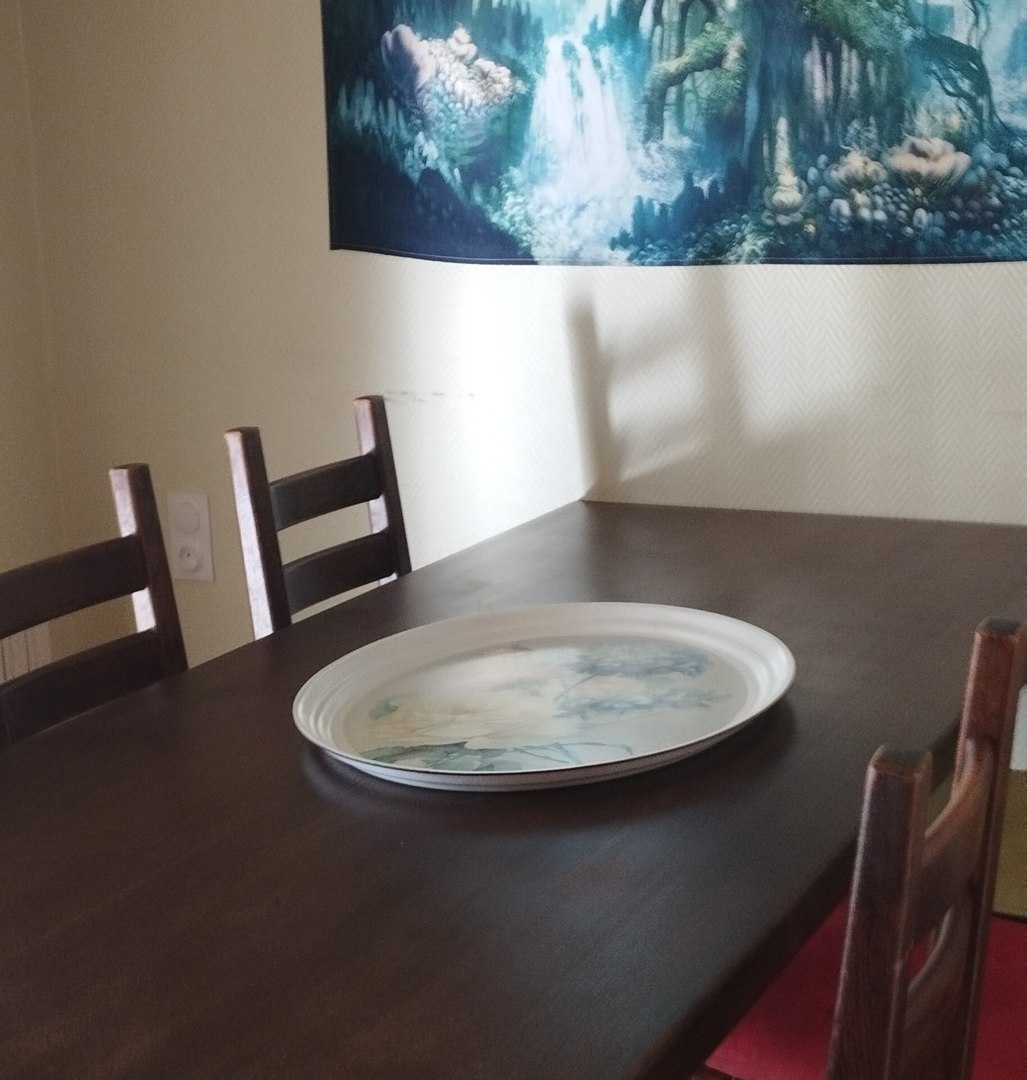 Salleamanger_Location 11 Le Guellec_Locarn