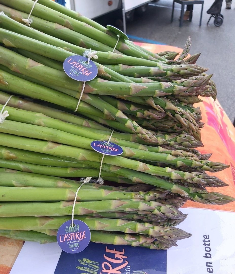 L'asperge de Lanrivain