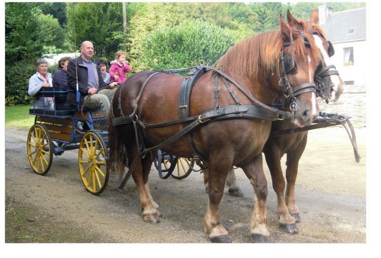 balade an calèche_Facy_Saint-Nicolas-du-Pélem