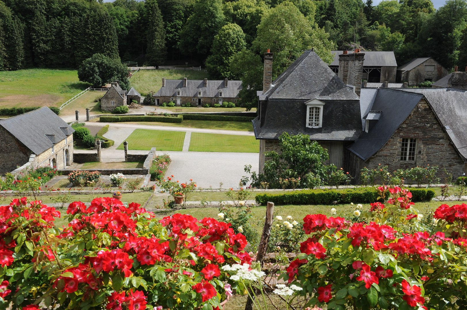 chez manu - forges des salles (2)