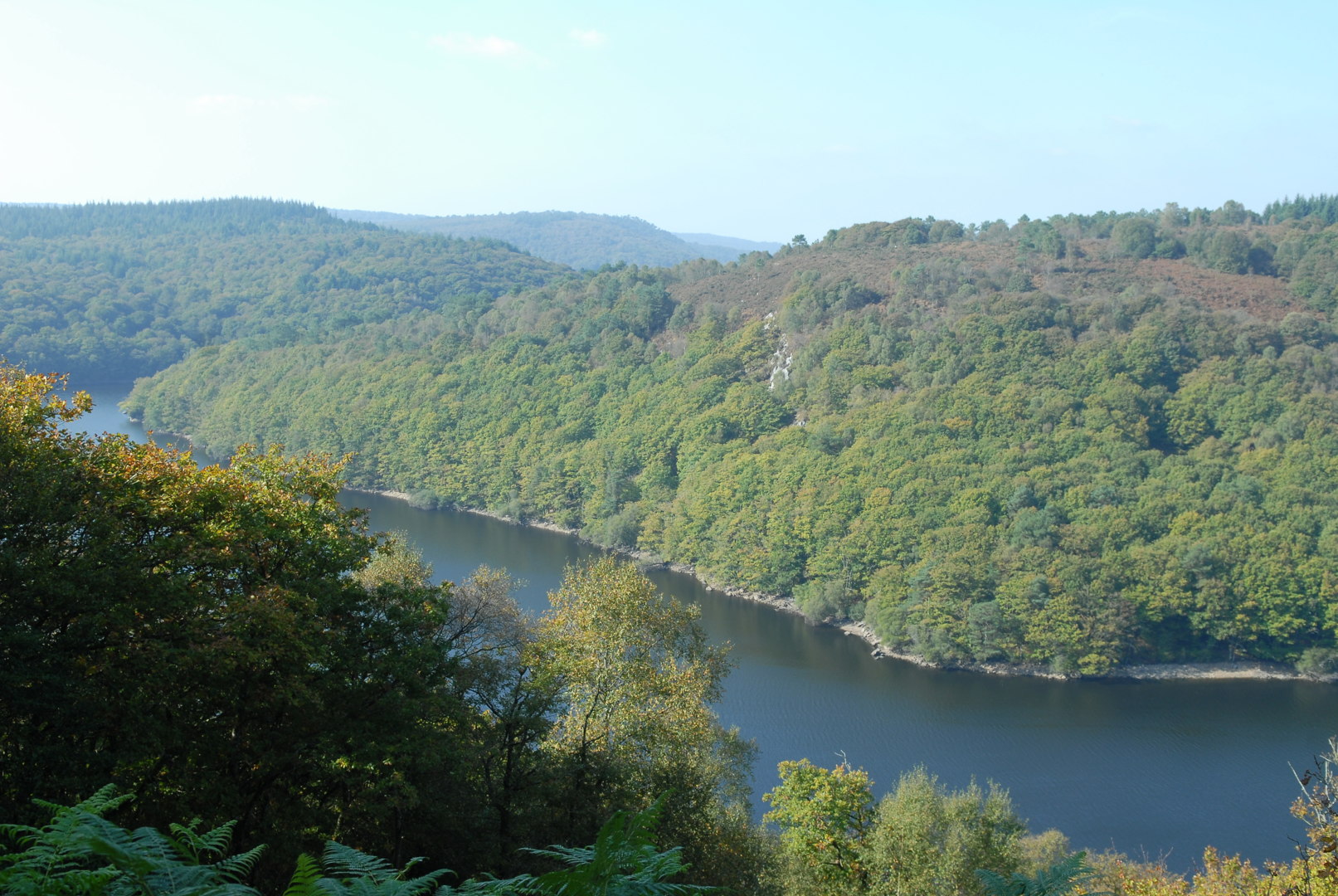 croix rouge - forêt (2)