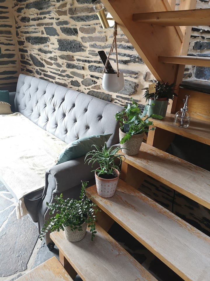 Gite Métairie du Roc'h_Bon Repos sur Blavet