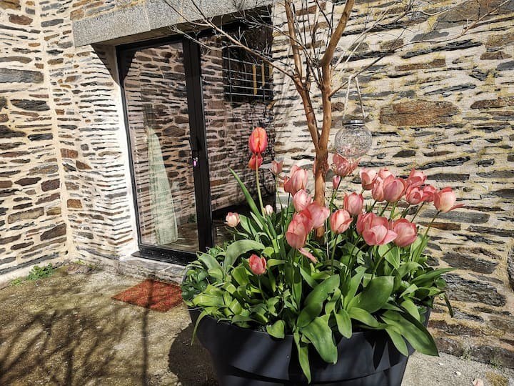 Gite Métairie du Roc'h_Bon Repos sur Blavet