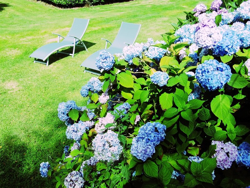 Ouvrir la diaporama jardin_gîte_pempoul_even_Rostrenen