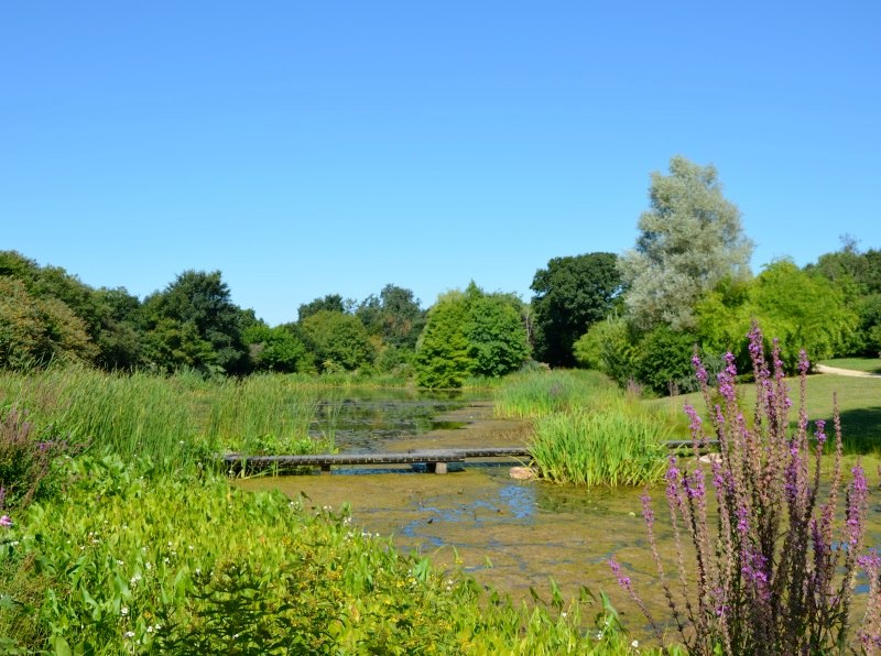 jardin_kervezennec_mlc01p