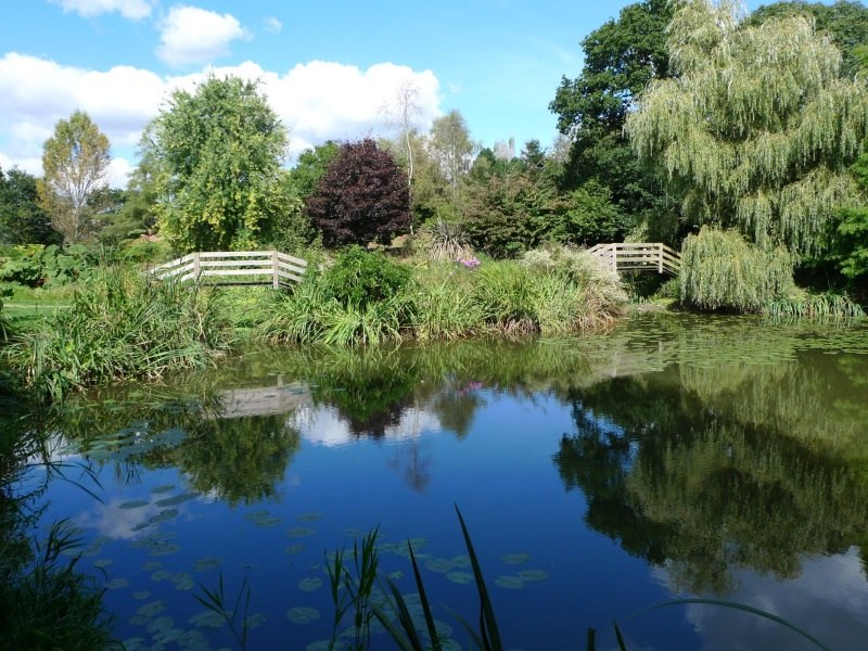 jardin_kervezennec_mlc02p