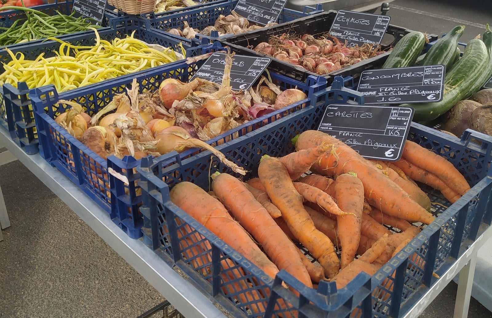 Jardin de Crec'h Macouz, St Gilles Pligeaux