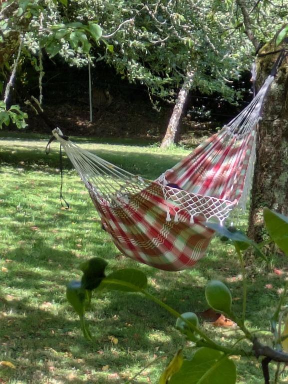 jardin2_Bonnet rouge_Laniscat