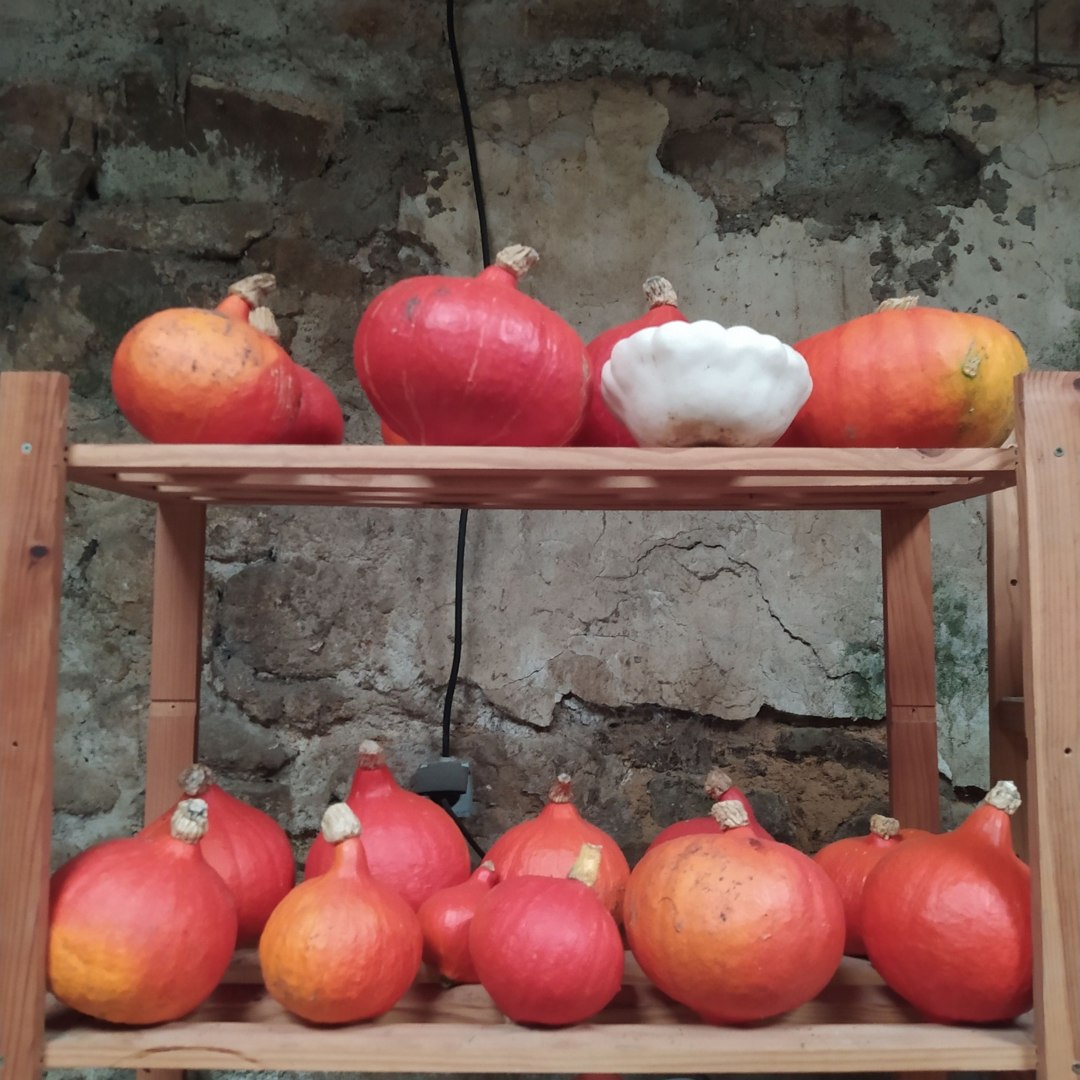 Jardin de Crec'h Macouz, St Gilles Pligeaux