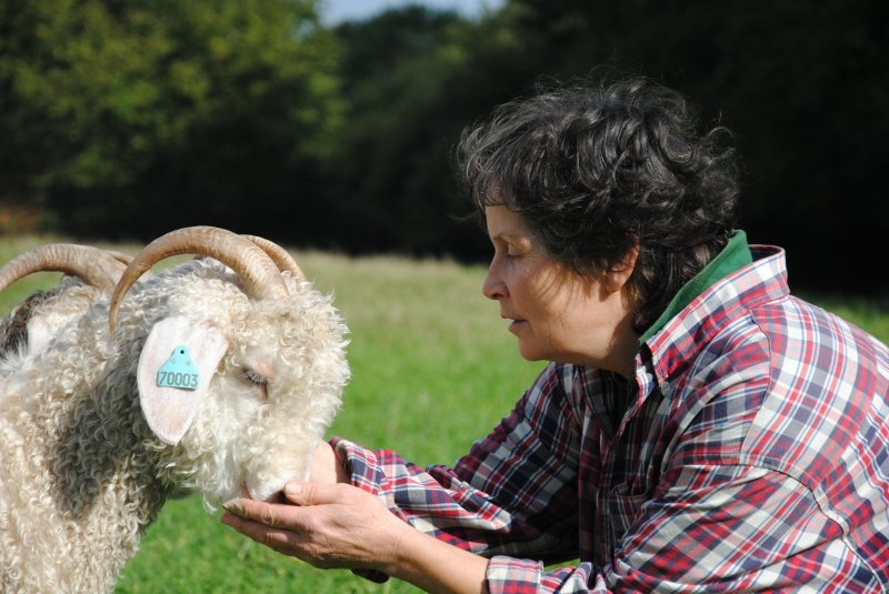 mohair argoat internet photo_accueil