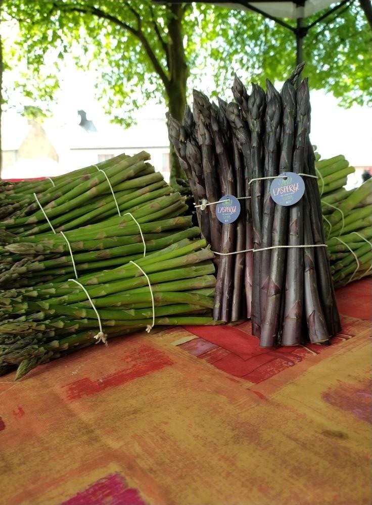 L'asperge de Lanrivain