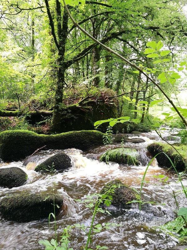 vallee-du-dore-aucoeurdebreizh-Plouguernevel---Copie