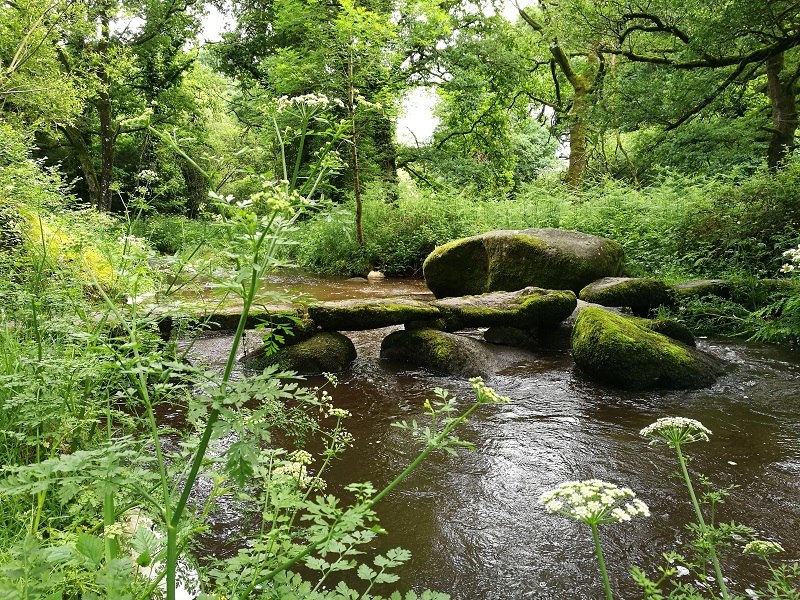 vallee-du-doree-aucoeurdebreizh-Plouguernevel2---Copie