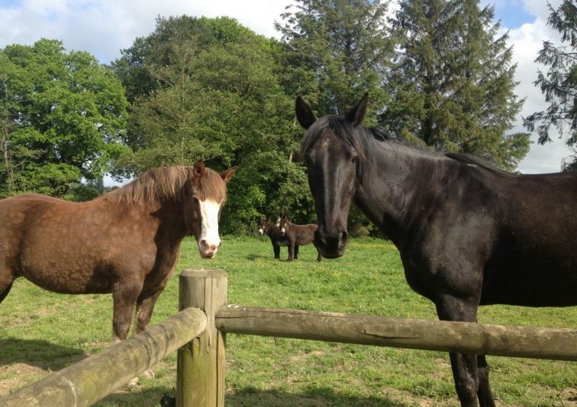 14Gîte kerigochen_Ti Tad Coz