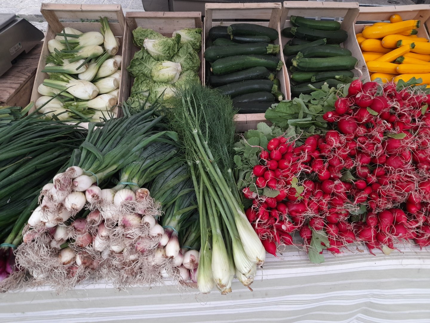 La Ferme aux fraises, Canihuel