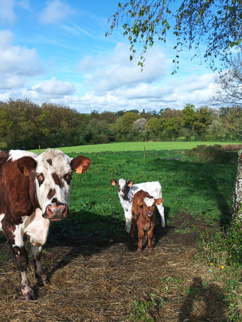 La ferme du canal, Glomel