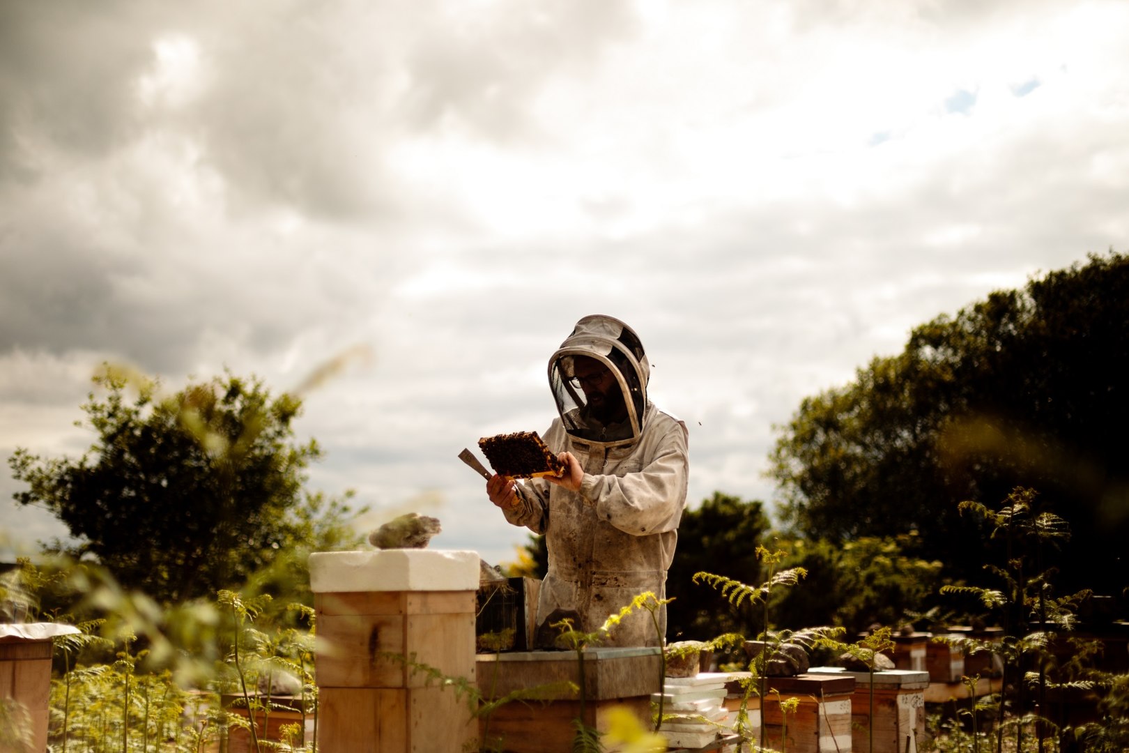 Mel Bro Fisel, Glomel