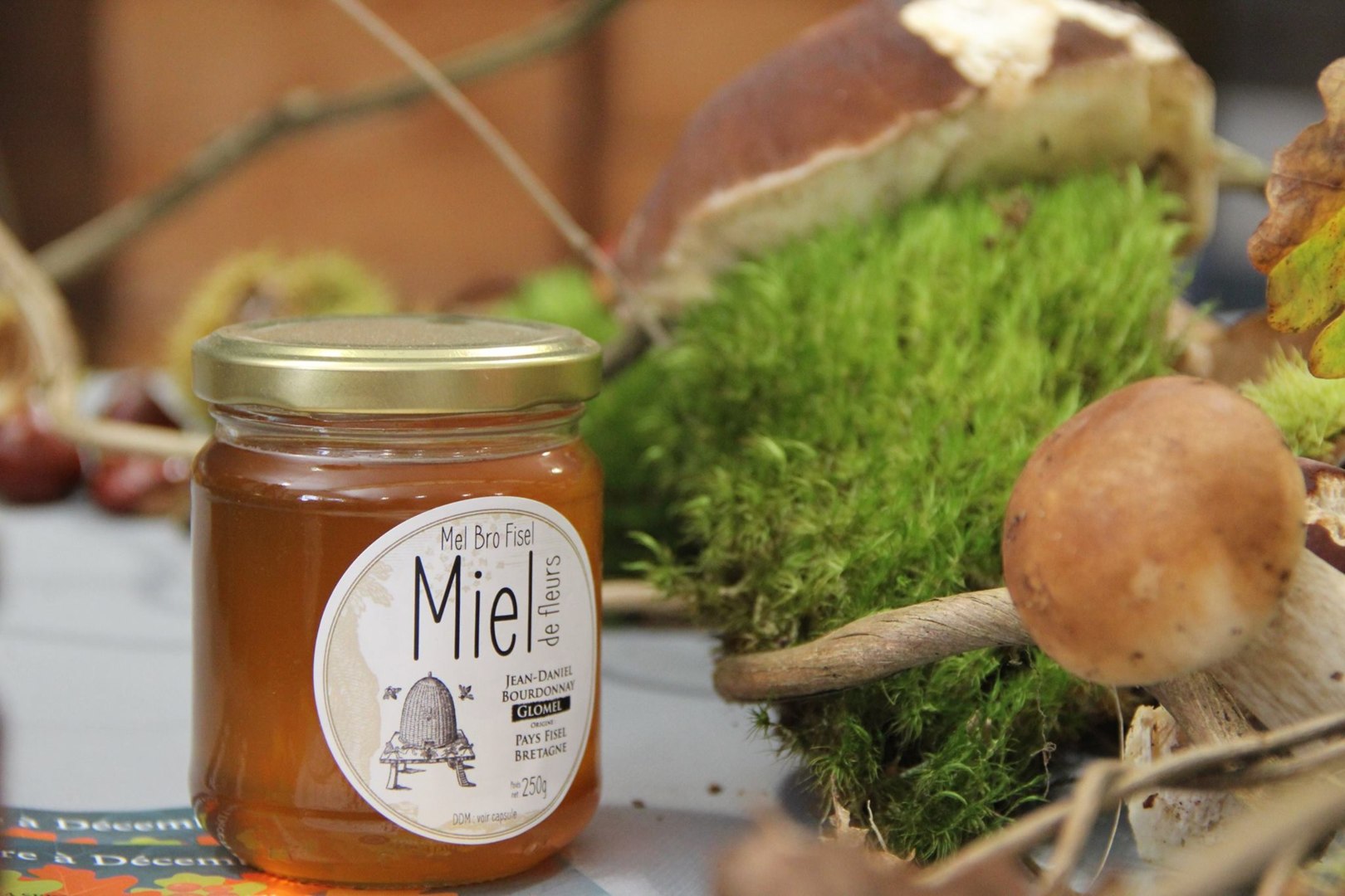 Mel Bro Fisel, Glomel