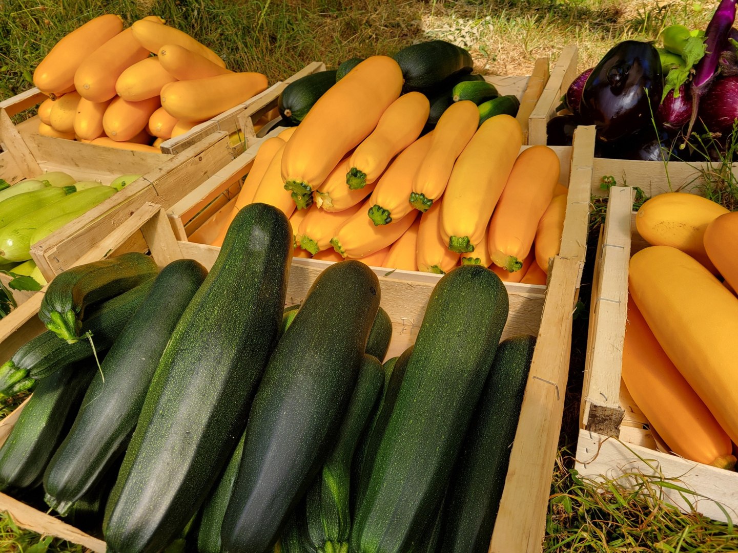 La Ferme aux fraises, Canihuel