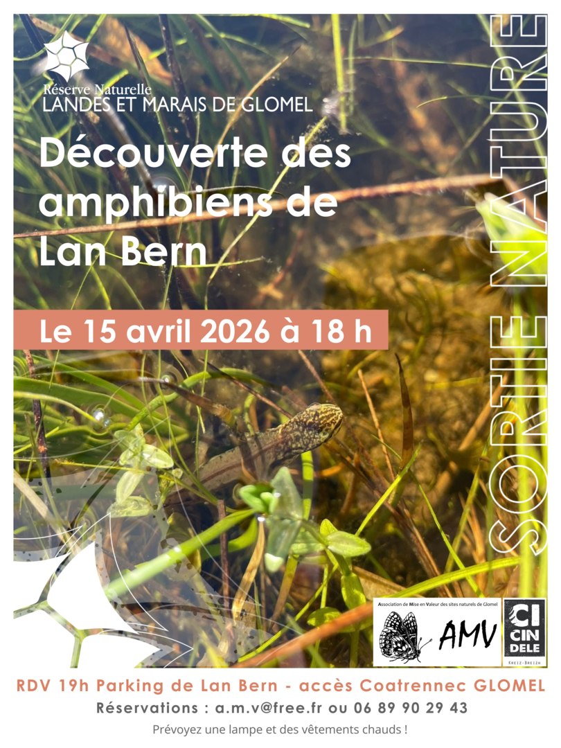 Frequence grenouille 2