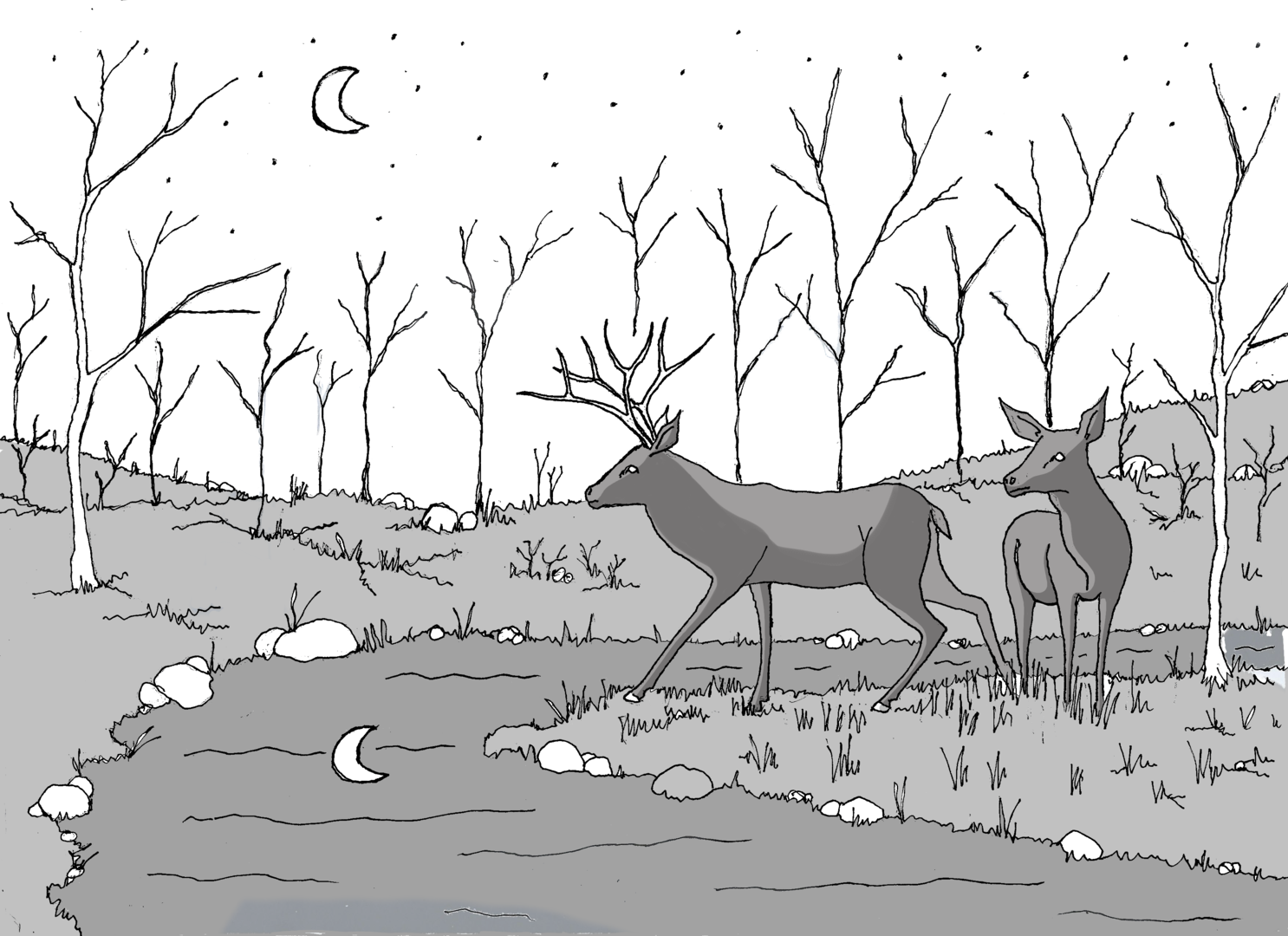 Ouvrir la diaporama biche et cerf01