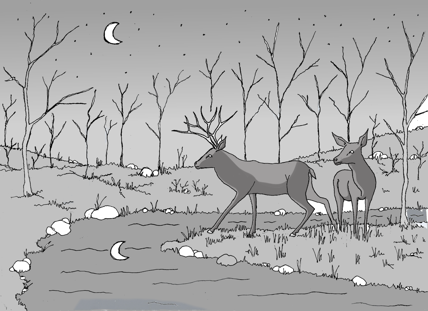 biche et cerf03