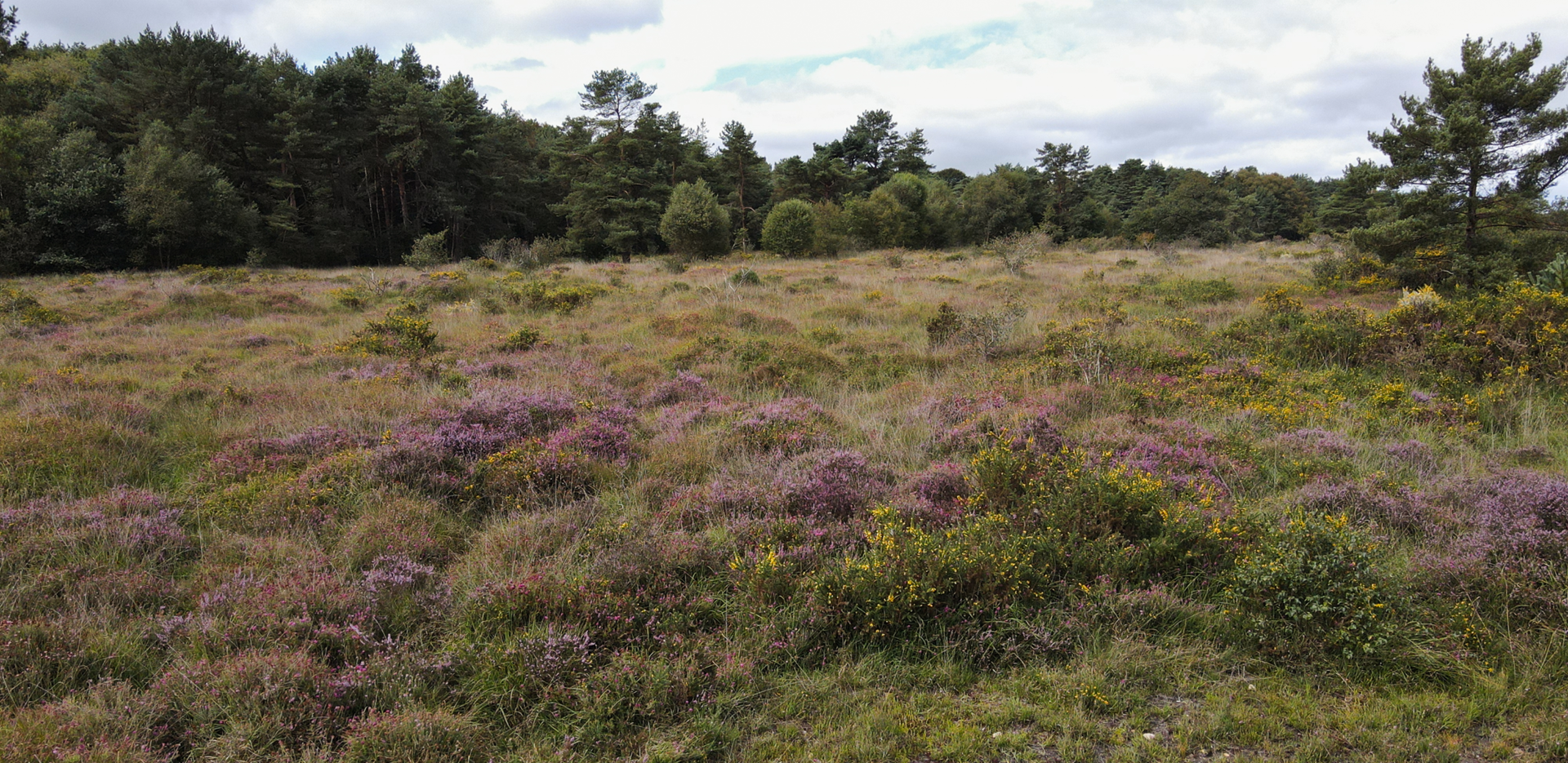 Ouvrir la diaporama Landes de Lan Bern