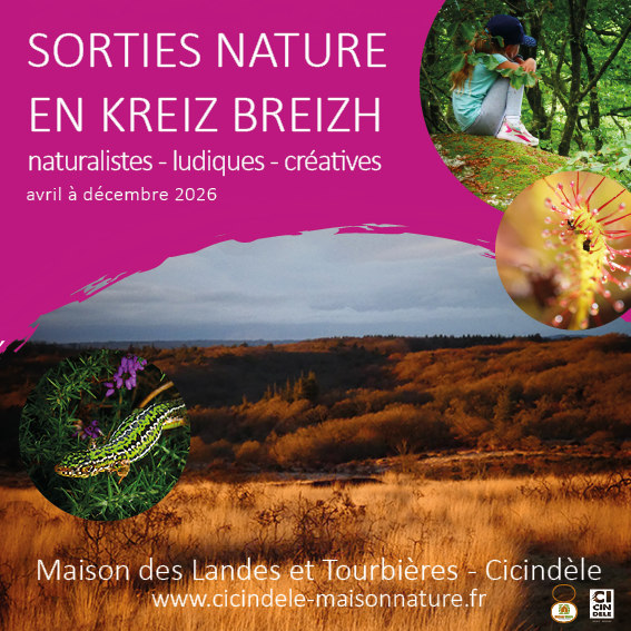 Ouvrir la diaporama Sorties Nature